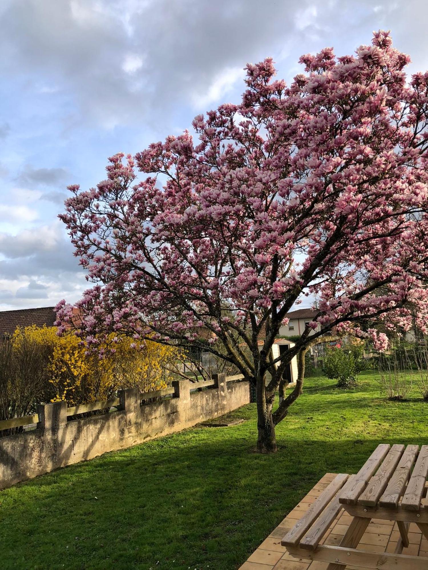 Parc De La Charmille Bed & Breakfast Saint-Etienne-sur-Reyssouze Exterior photo